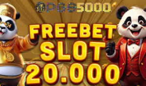 PGS5000